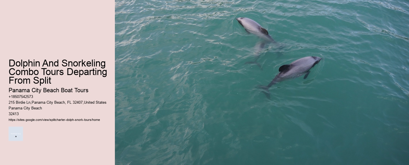 Dolphin And Snorkeling Combo Tours Departing From Split