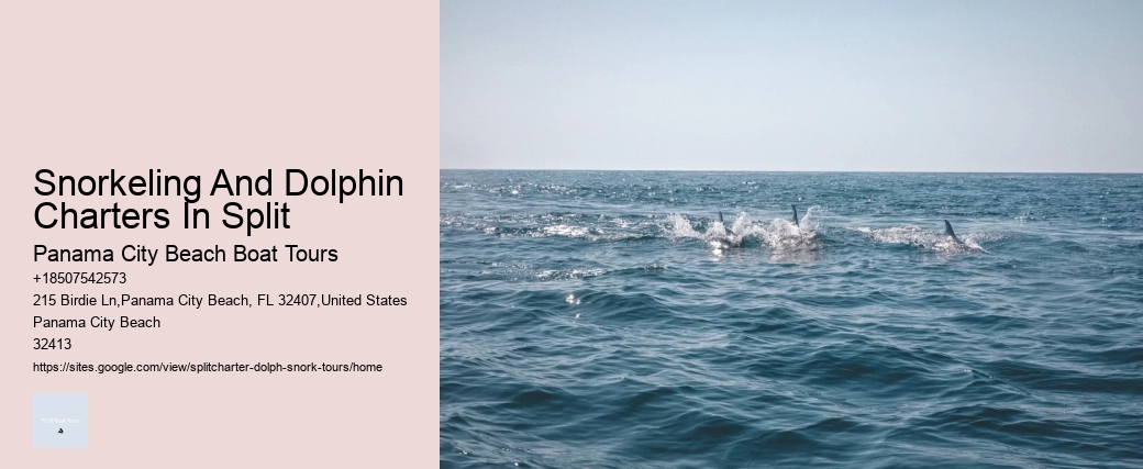 What's The Best Time To Go Whale Watching