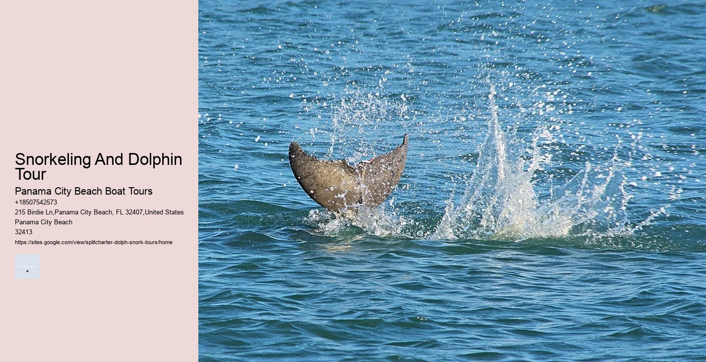 Are Untrained Dolphins Friendly