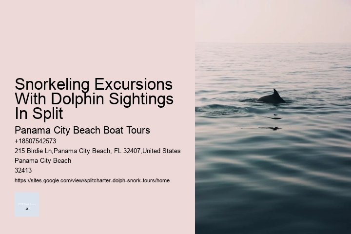 Snorkeling Excursions With Dolphin Sightings In Split