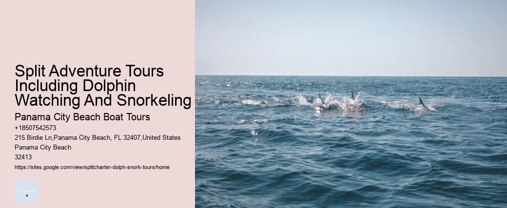 Split Adventure Tours Including Dolphin Watching And Snorkeling