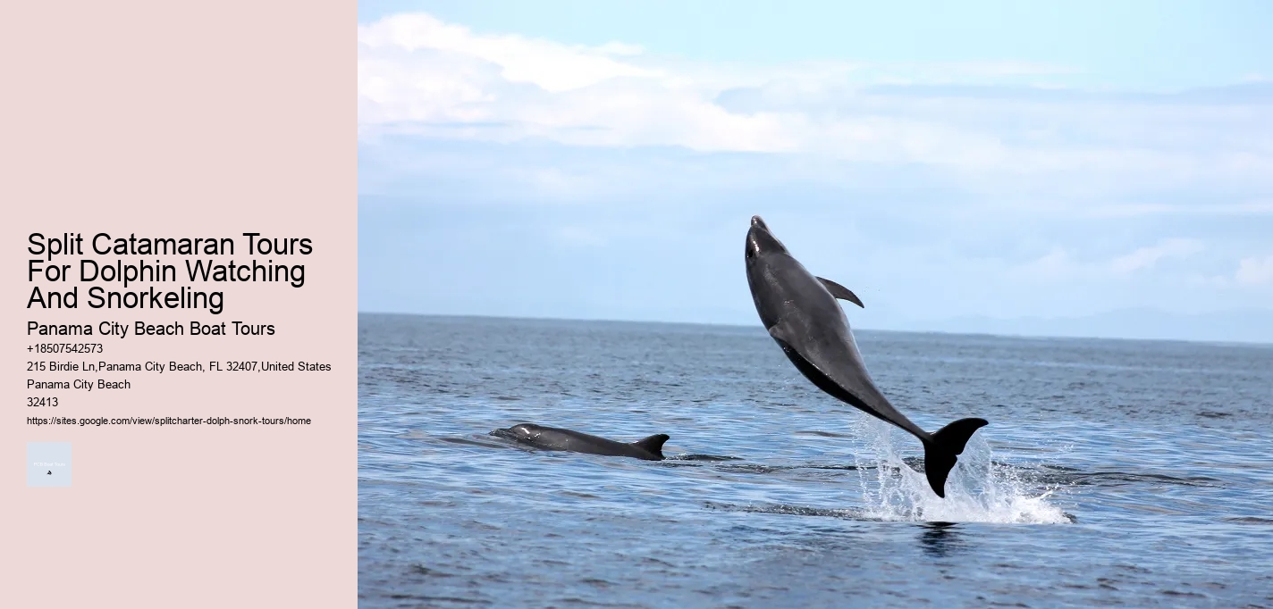 Split Catamaran Tours For Dolphin Watching And Snorkeling