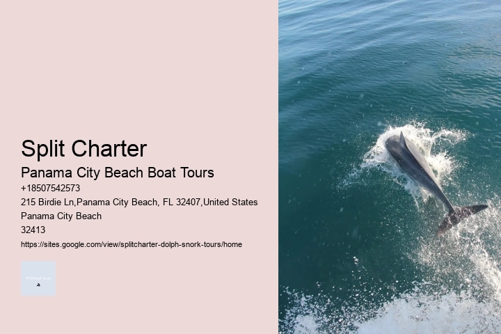 How Much Do You Tip Whale Watching