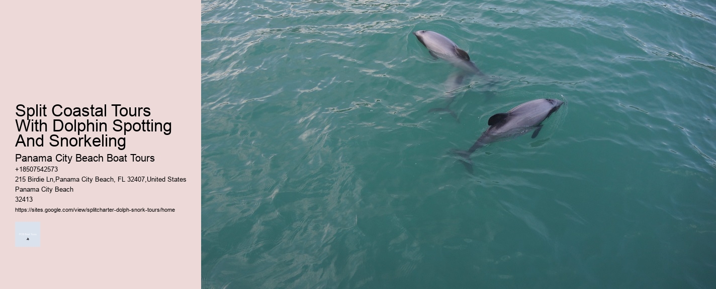 Split Coastal Tours With Dolphin Spotting And Snorkeling