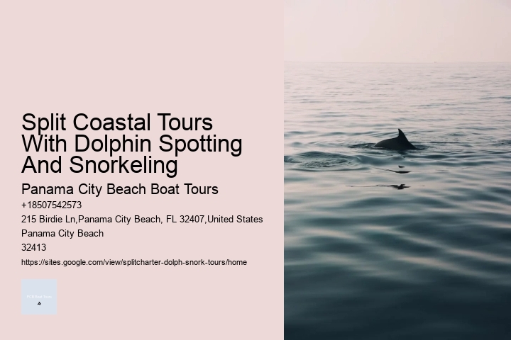 What Not To Do Around Dolphins