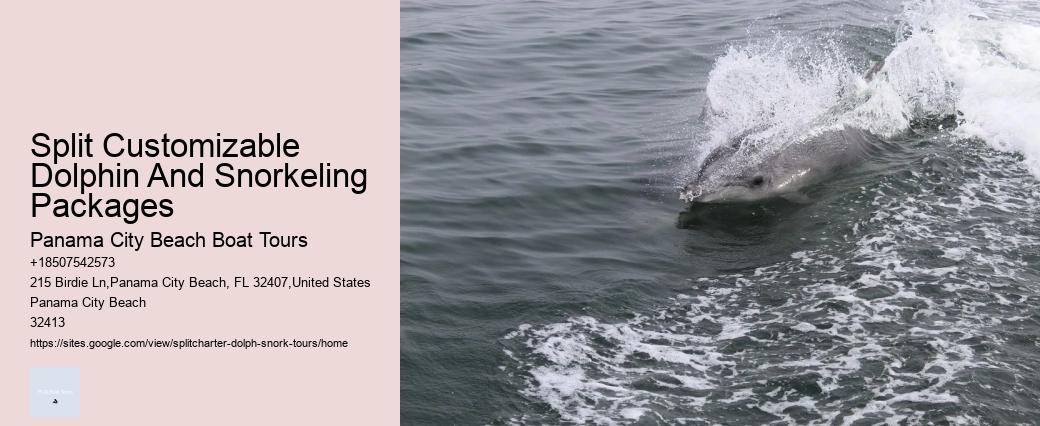 Does Seeing Dolphins Mean No Sharks