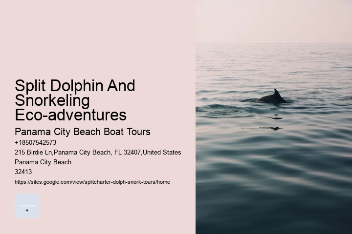 Split Dolphin And Snorkeling Eco-adventures