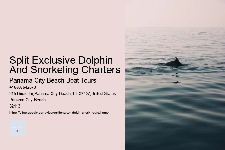 Split Exclusive Dolphin And Snorkeling Charters