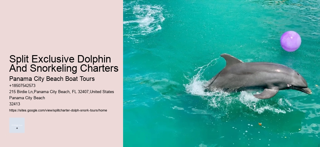 Are Dolphins Actually Happy In Captivity