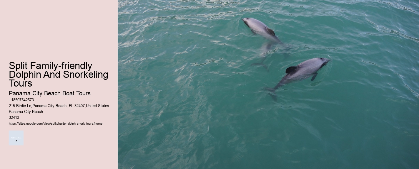 Split Family-friendly Dolphin And Snorkeling Tours