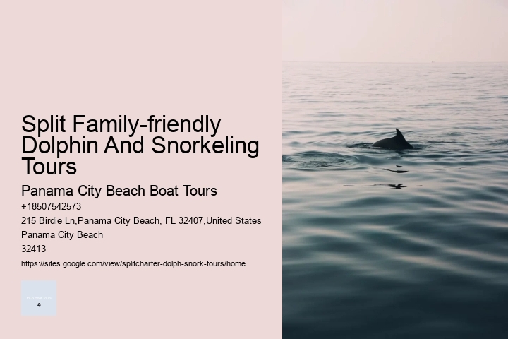 Which Beach Is Best For Dolphin