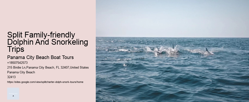 Why Do Dolphins Like Humans