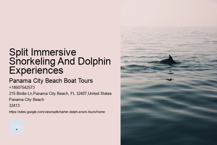 Split Immersive Snorkeling And Dolphin Experiences
