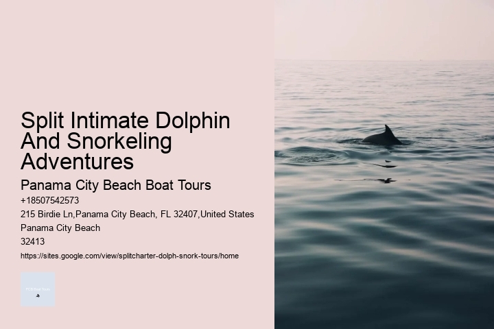 Jet Boat Dolphin Tours