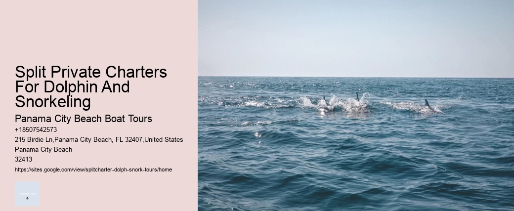 Split Private Charters For Dolphin And Snorkeling