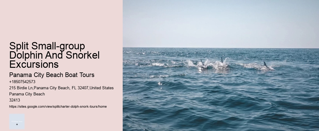 Jet Ski Dolphin Tours Near Me