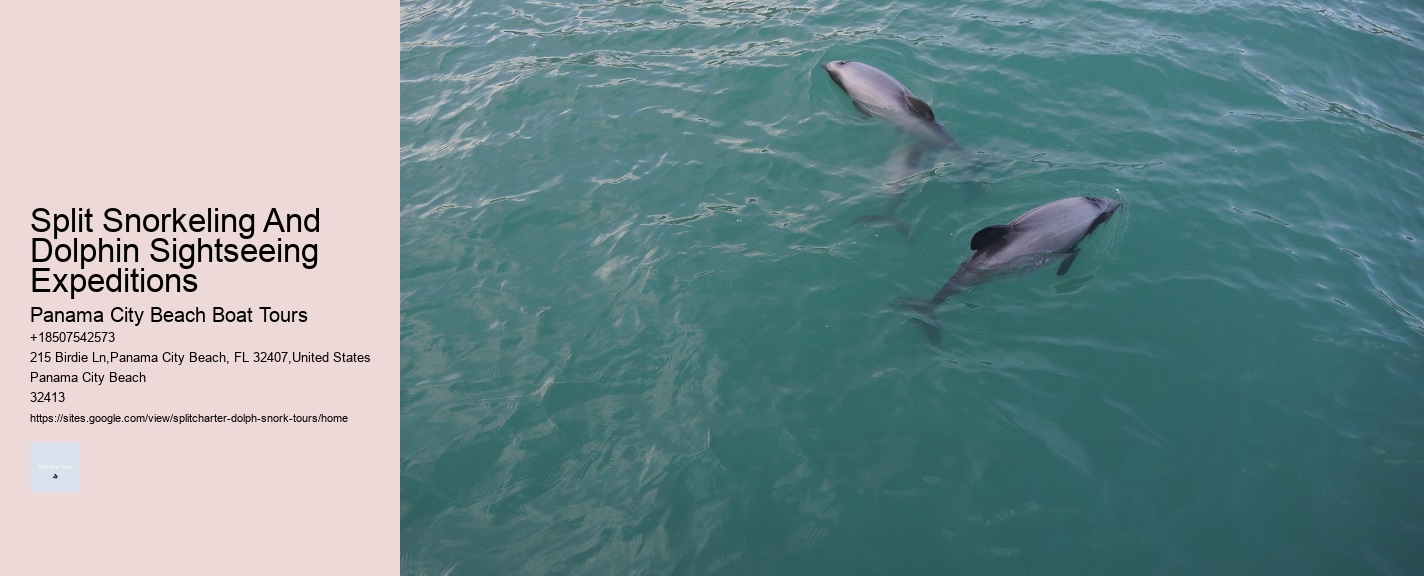 Split Snorkeling And Dolphin Sightseeing Expeditions