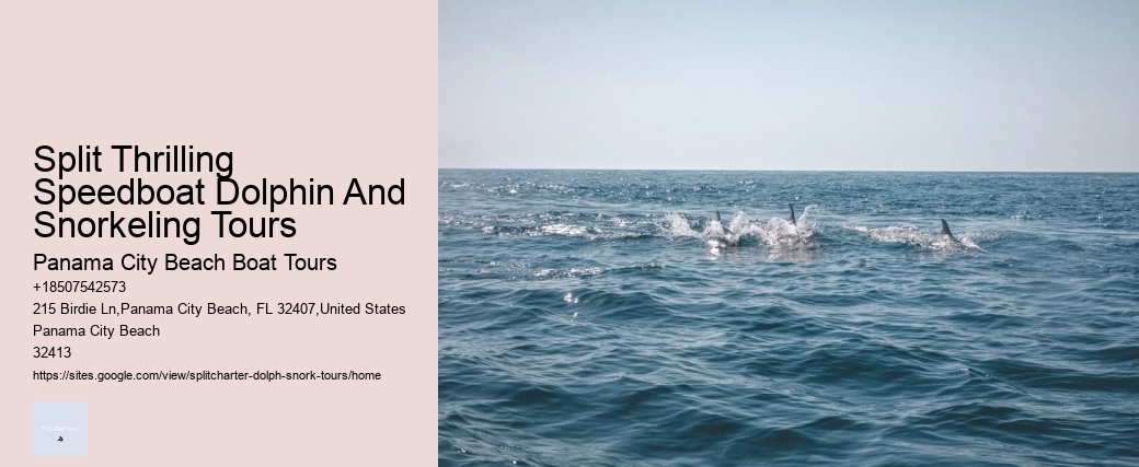 Split Thrilling Speedboat Dolphin And Snorkeling Tours